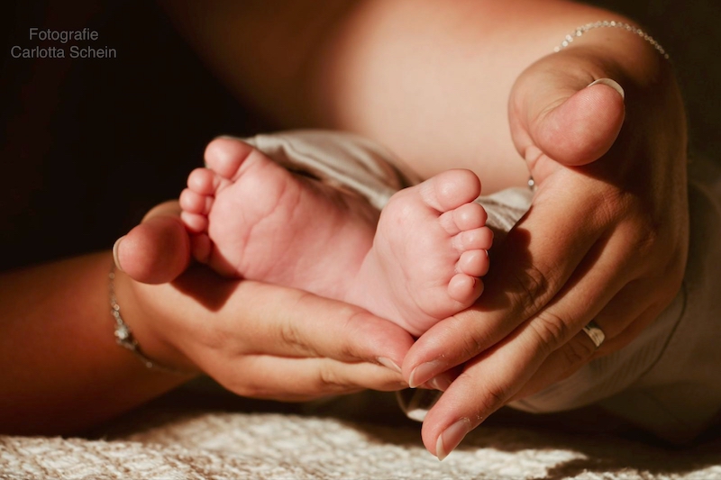 Dr. Alexander Paseka Image